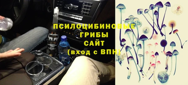 МДПВ Козловка