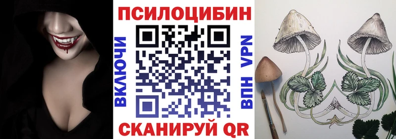 Купить где  Видное  Галлюциногенные грибы Magic Shrooms 